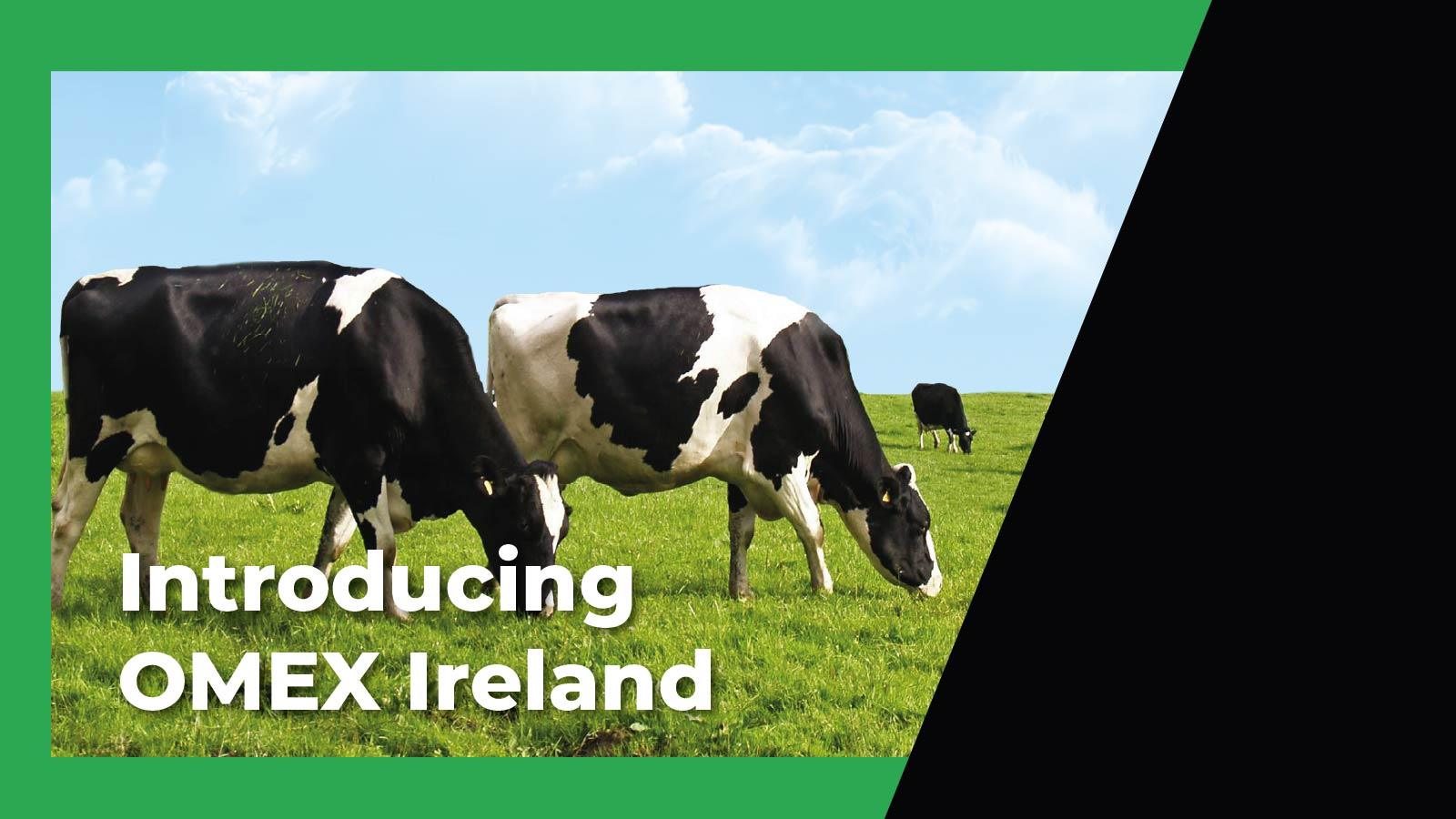 Introducing OMEX Ireland