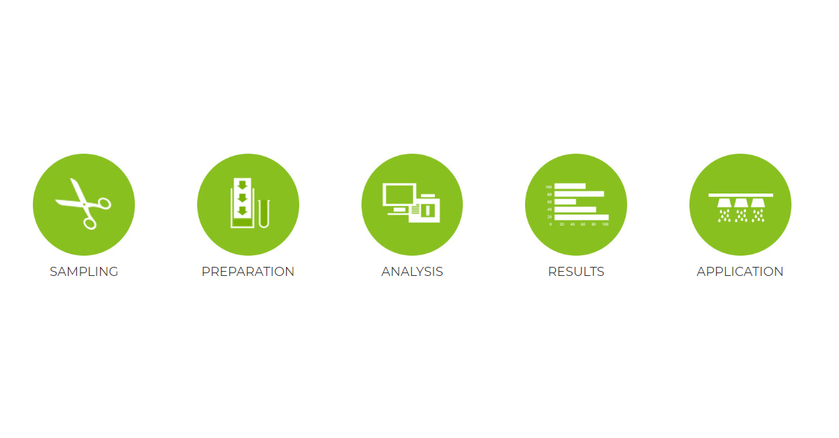 Sap analysis process