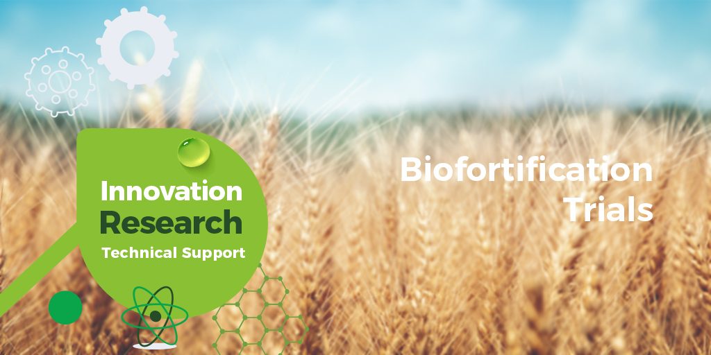 Biofortification trials