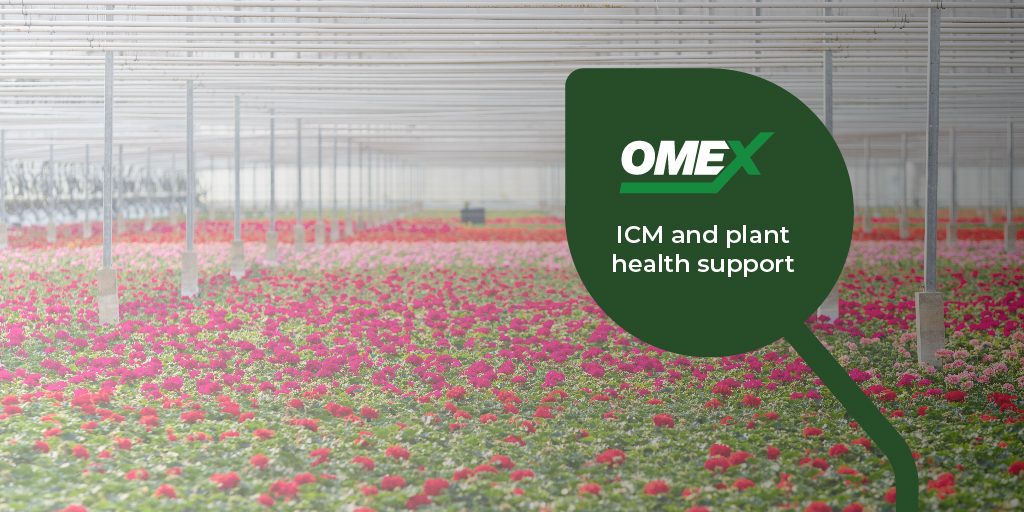 Integrated Crop Management (ICM) and plant health support | OMEX