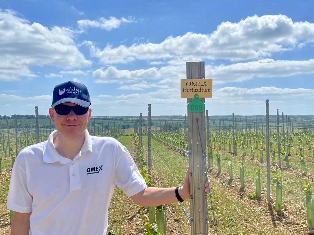 Vineyard nutrition agronomist