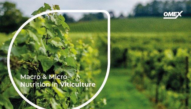 macro and micro nutrition in viticulture | OMEX