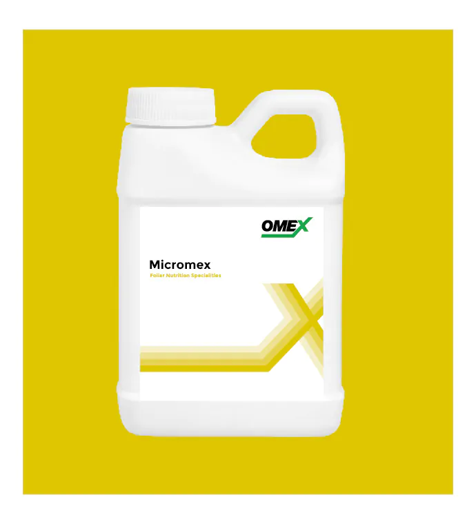 Micromex