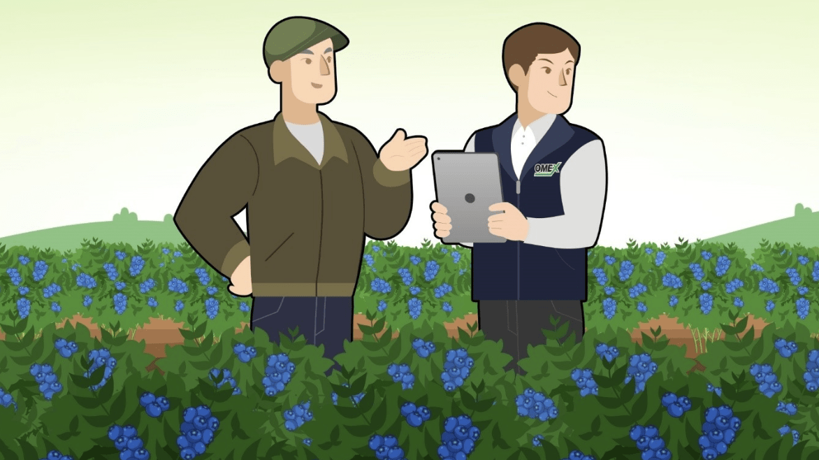 cartoon of omex staff in field