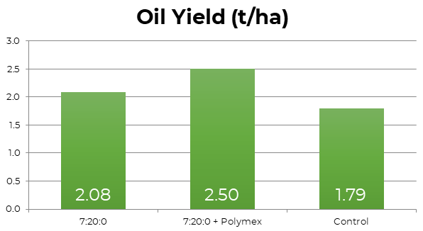 oil yield