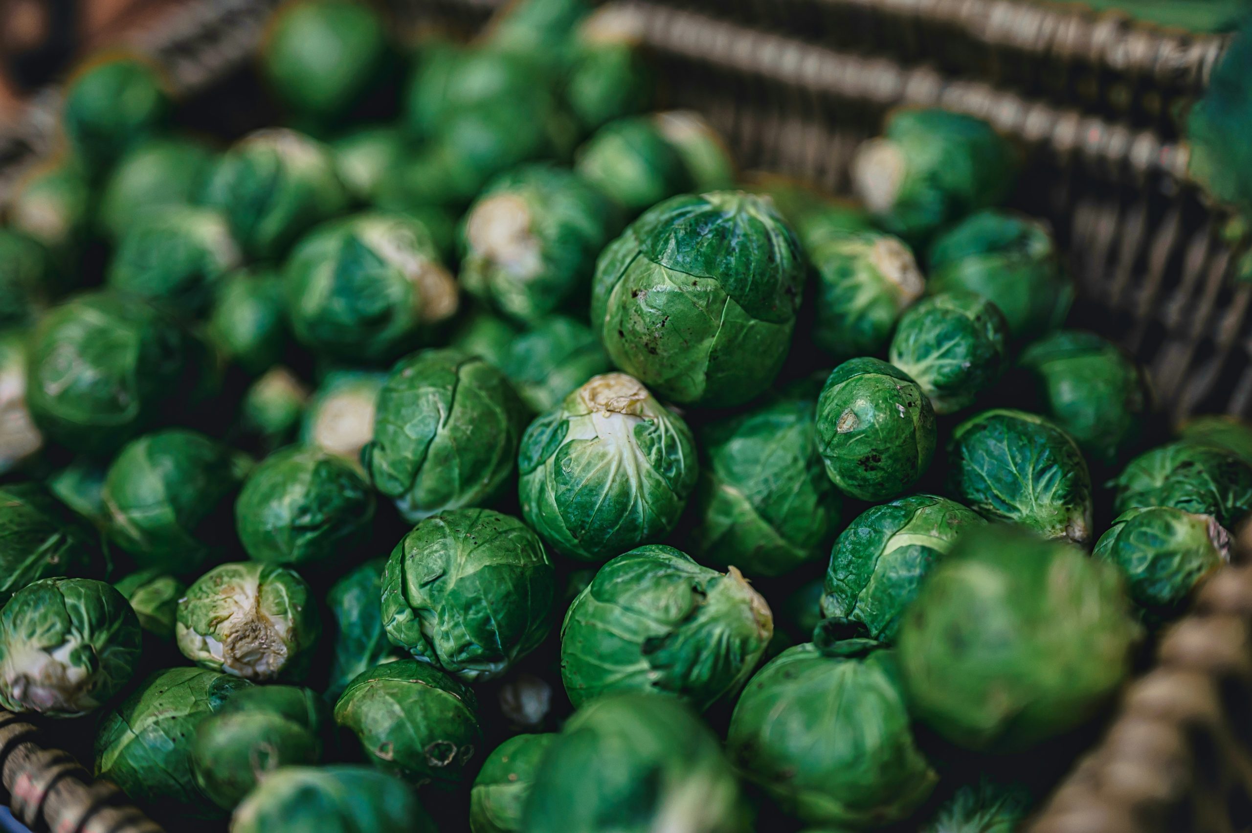 brussel sprout stock image