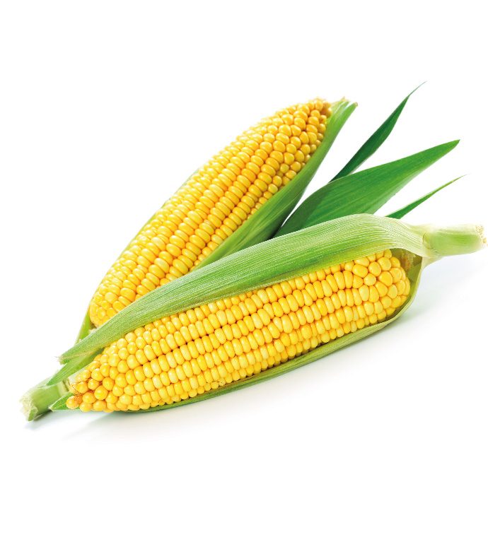 maize OMEX fertiliser