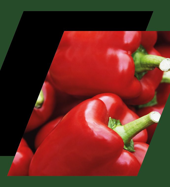 protected edible fertiliser and crop nutrition for peppers
