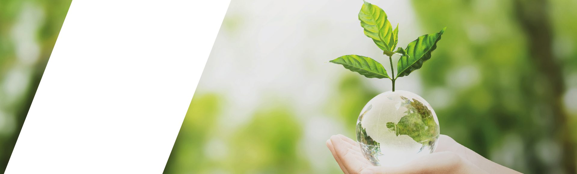 Hand holding a glass globe and seedling | foliar fertiliser | OMEX Agriculture
