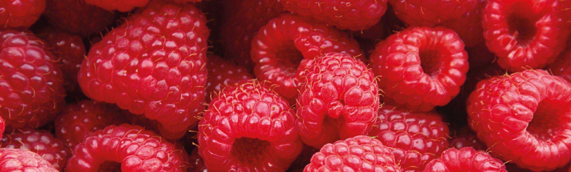 raspberry fertiliser and crop nutrition