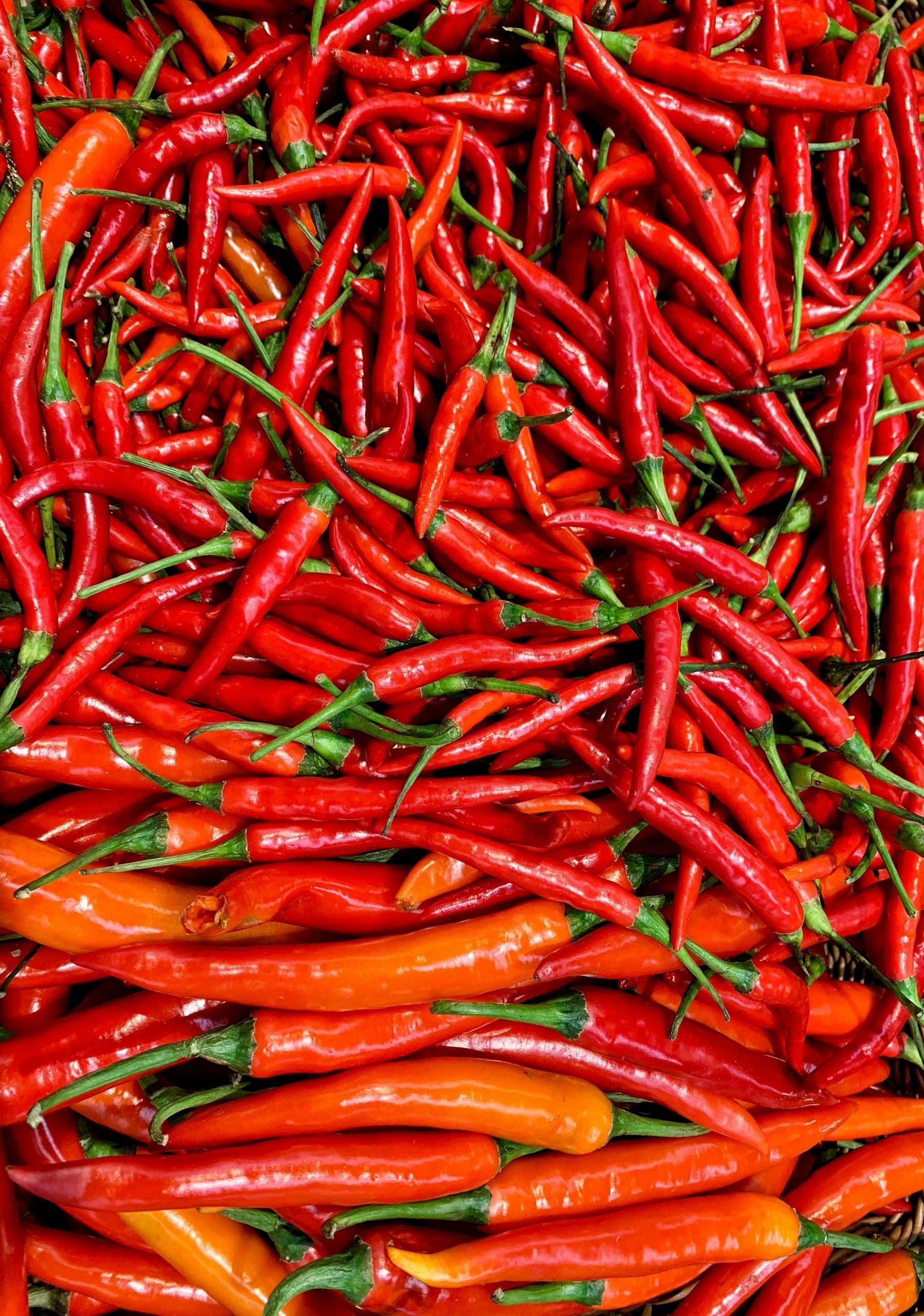 lots of red hot chilli peppers all together