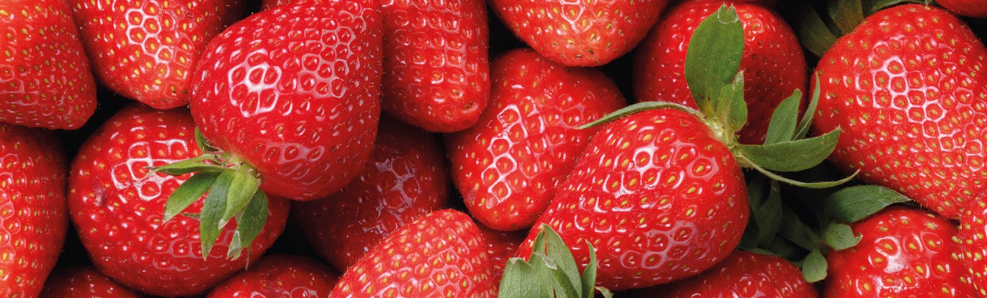 strawberry fertiliser and crop nutrition