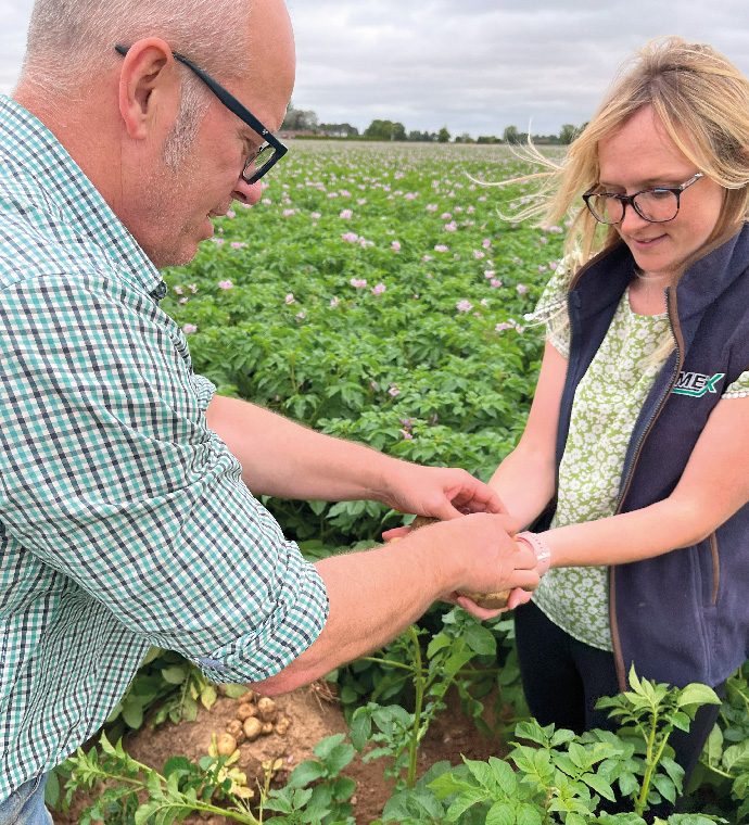 OMEX LFP Potato Crop