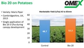 Bio 20 on potatoes trial OMEX