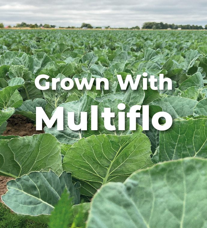 grown with Multiflo brassicas