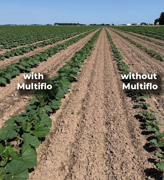 with and without Multiflo