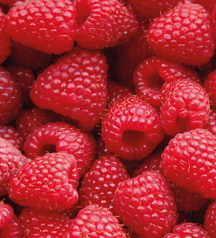 raspberry