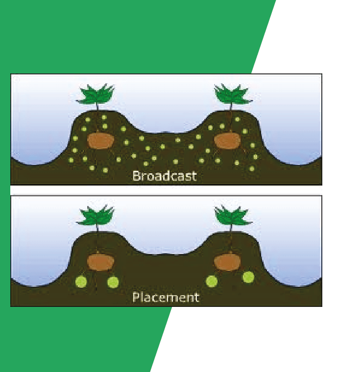 Injection v Broadcast Fertiliser