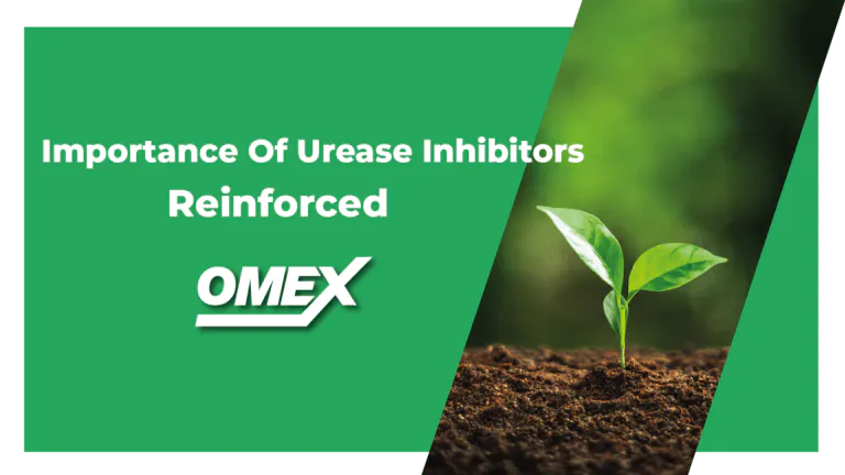 Importance Of Urease Inhibitors for farmers