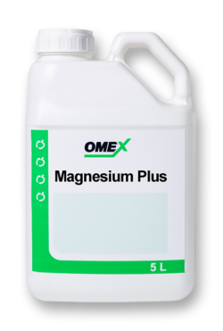 Magnesium Plus bottle