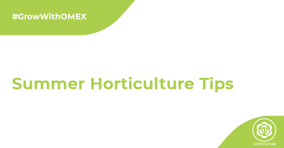 Summer Horticulture Tips