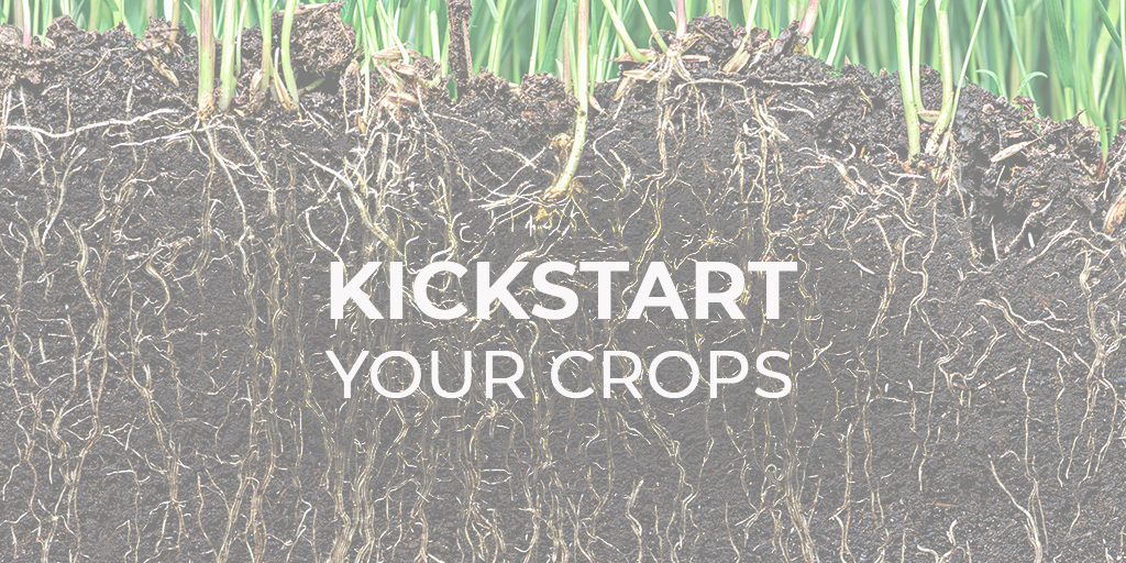 Kickstart Your Crops