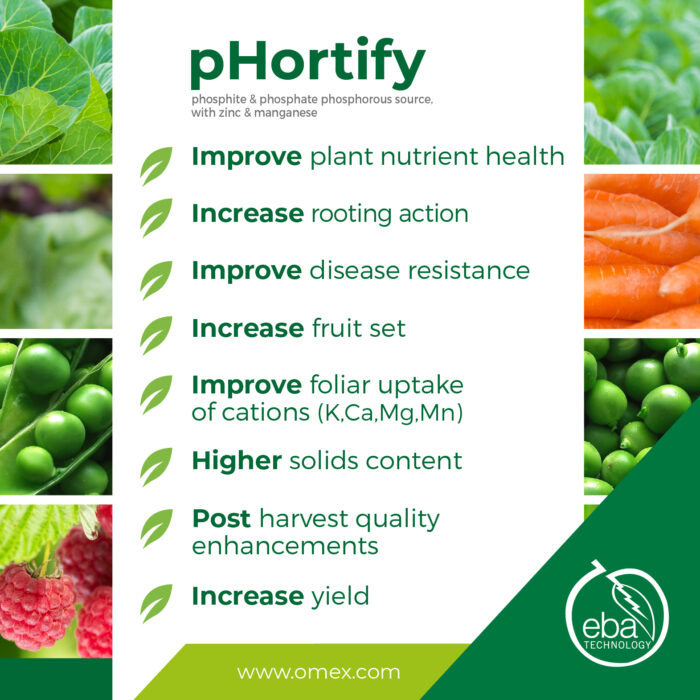 benefits of phortify a plant health promoter, plants