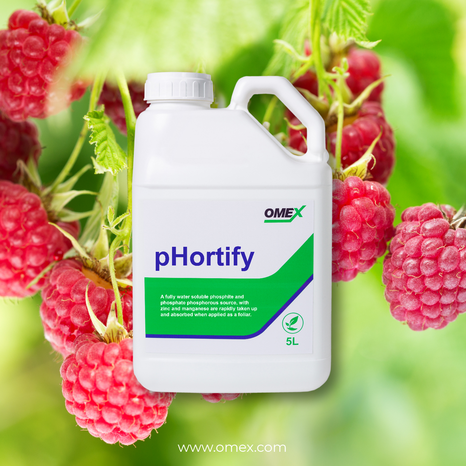 benefits of phortify and plants health promoters