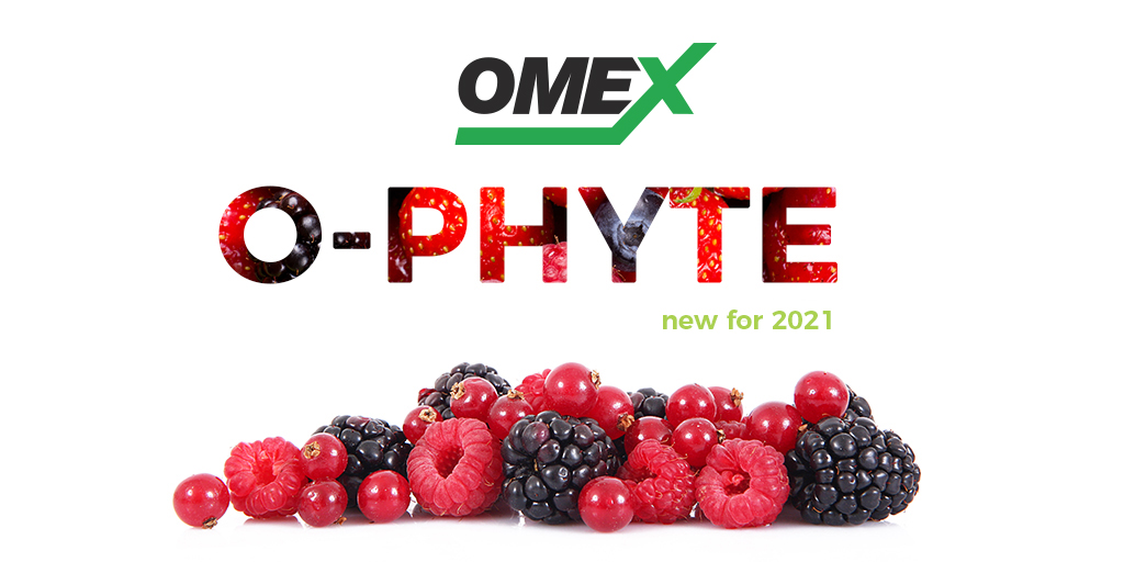Introducing O-Phyte