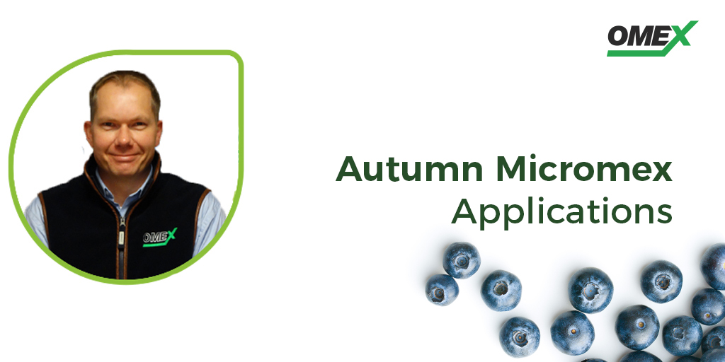 Heading into the new season, Soft Fruit Agronomist, Neil Holmes, explains autumn Micromex applications