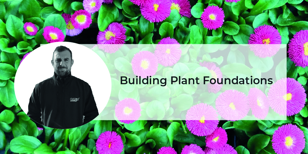 Building plant foundations