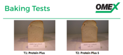 promoting protein levels baking tests